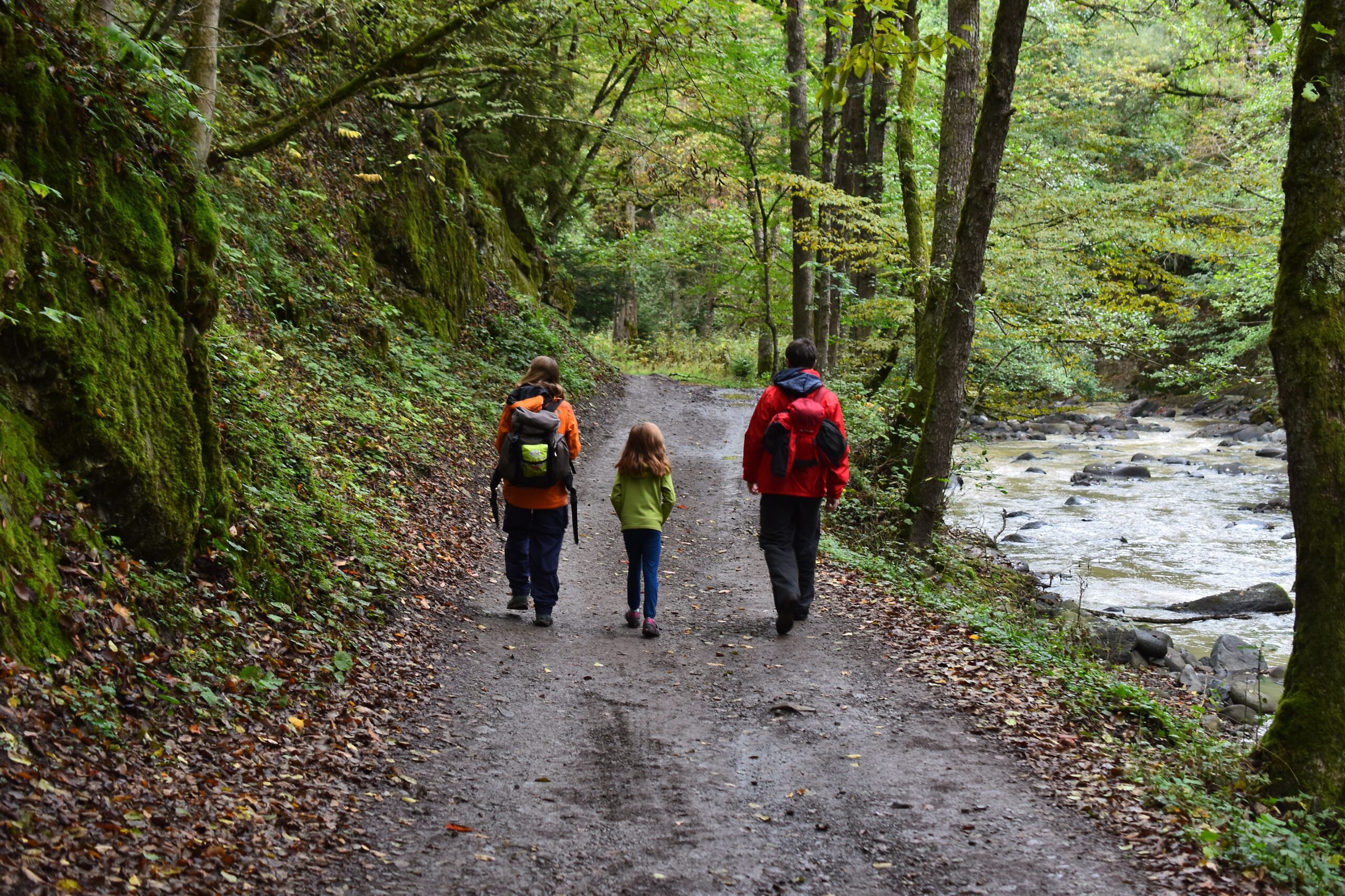 Rutas imprescindibles en el Parque Natural de Las Ubiñas-La Mesa desde Casa Rural La Campa